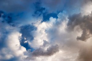 Gold-Storm-500x-CRW_4161